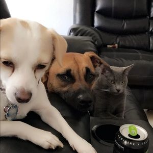 Meet your Posher, Mikayla